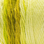 Red Heart Super Saver Ombre Yarn