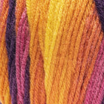 Red Heart Super Saver Ombre Yarn
