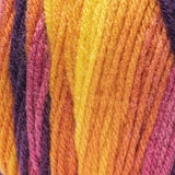 Red Heart Super Saver Ombre Yarn