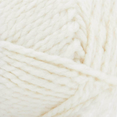Premier Serenity Chunky Yarn
