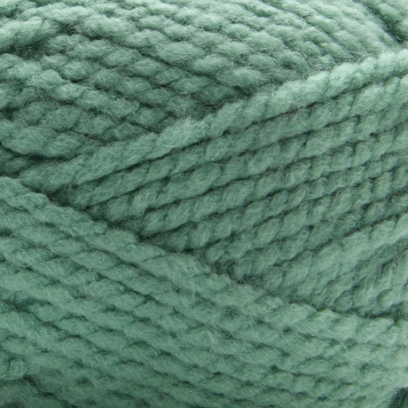 Premier Serenity Chunky Yarn