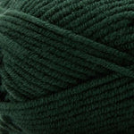 Premier Basix Chunky Yarn