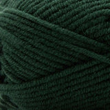 Premier Basix Chunky Yarn