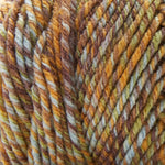 Premier Basix Mosaic Yarn