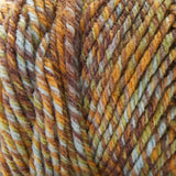 Premier Basix Mosaic Yarn