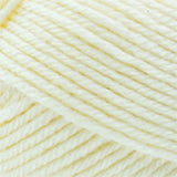 Lion Brand Basic Stitch Anti Pilling Yarn