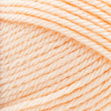 Lion Brand Basic Stitch Anti Pilling Yarn