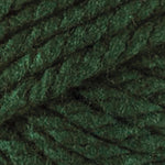 Bernat Softee Chunky Yarn