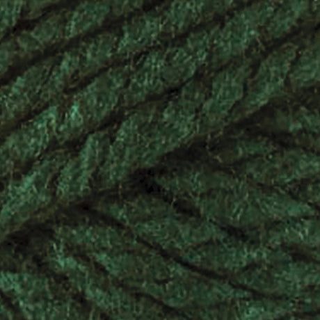 Bernat Softee Chunky Yarn