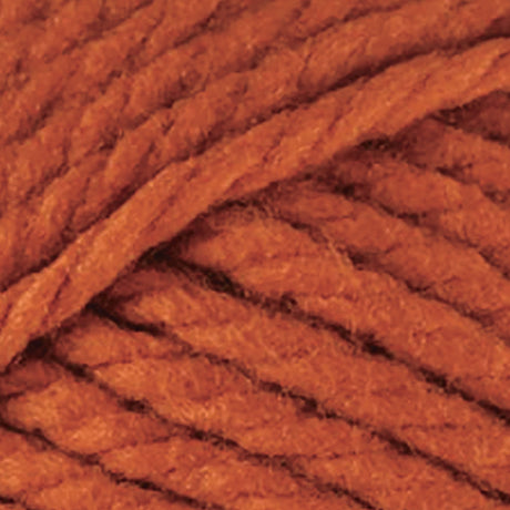 Bernat Softee Chunky Yarn