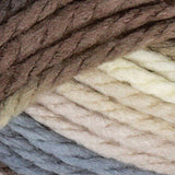 Bernat Softee Chunky Yarn