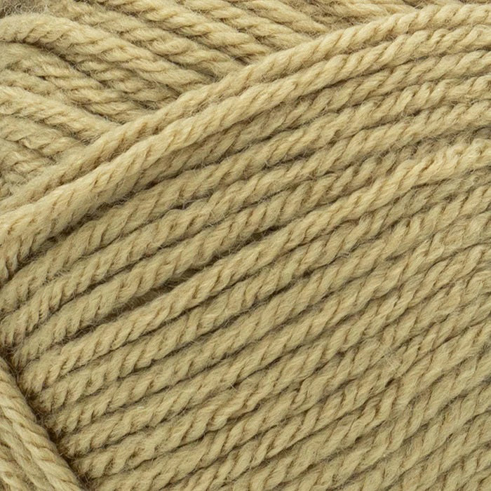 Lion Brand Basic Stitch Anti-Pilling 'Skein Tones' Yarn – Mary Maxim Ltd