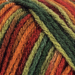 Red Heart Super Saver Yarn (Stripes, Prints, Variegated)