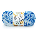 Lion Brand Bundle of Love Yarn