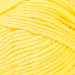 Big Twist Posh Yarn