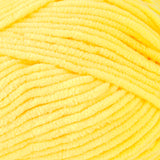 Big Twist Posh Yarn