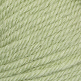 Patons Canadiana Yarn -'The New Generation'