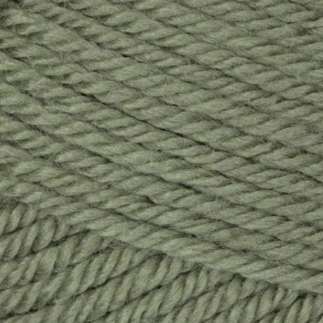 Patons Canadiana Yarn -'The New Generation'