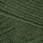 Patons Canadiana Yarn -'The New Generation'