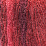 Red Heart Super Saver Ombre Yarn