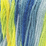 Red Heart Super Saver Ombre Yarn