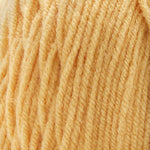 Premier Basix Yarn