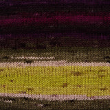 Premier Colorfusion DK Yarn