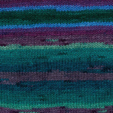 Premier Colorfusion DK Yarn