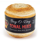 Bag-O-Day Tonal Hues Yarn