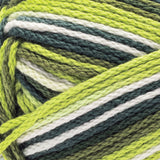 Caron All Day Cotton Yarn