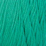 Big Twist Value Yarn