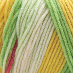 Premier Basix Trendy Yarn