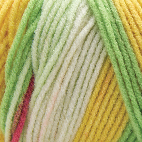 Premier Basix Trendy Yarn