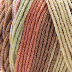Premier Basix Trendy Yarn