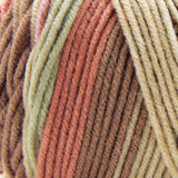 Premier Basix Trendy Yarn