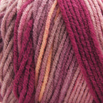 Premier Basix Trendy Yarn
