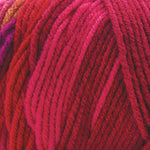 Premier Basix Trendy Yarn