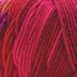 Premier Basix Trendy Yarn