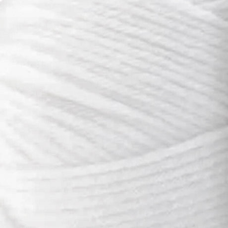 Premier Anti-Pilling Select Yarn