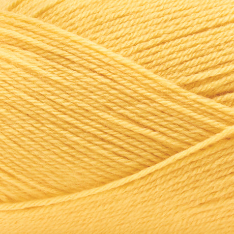 Premier Anti-Pilling Everday Super Fine Yarn