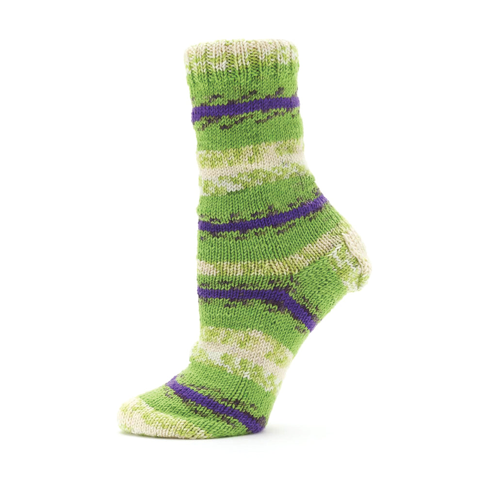 Premier Farmstand Sock Yarn