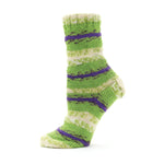 Premier Farmstand Sock Yarn