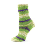 Premier Farmstand Sock Yarn