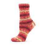 Premier Farmstand Sock Yarn