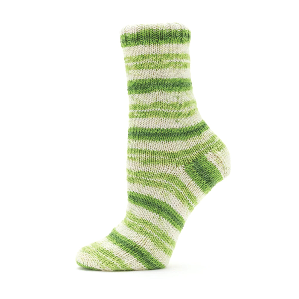 Premier Farmstand Sock Yarn