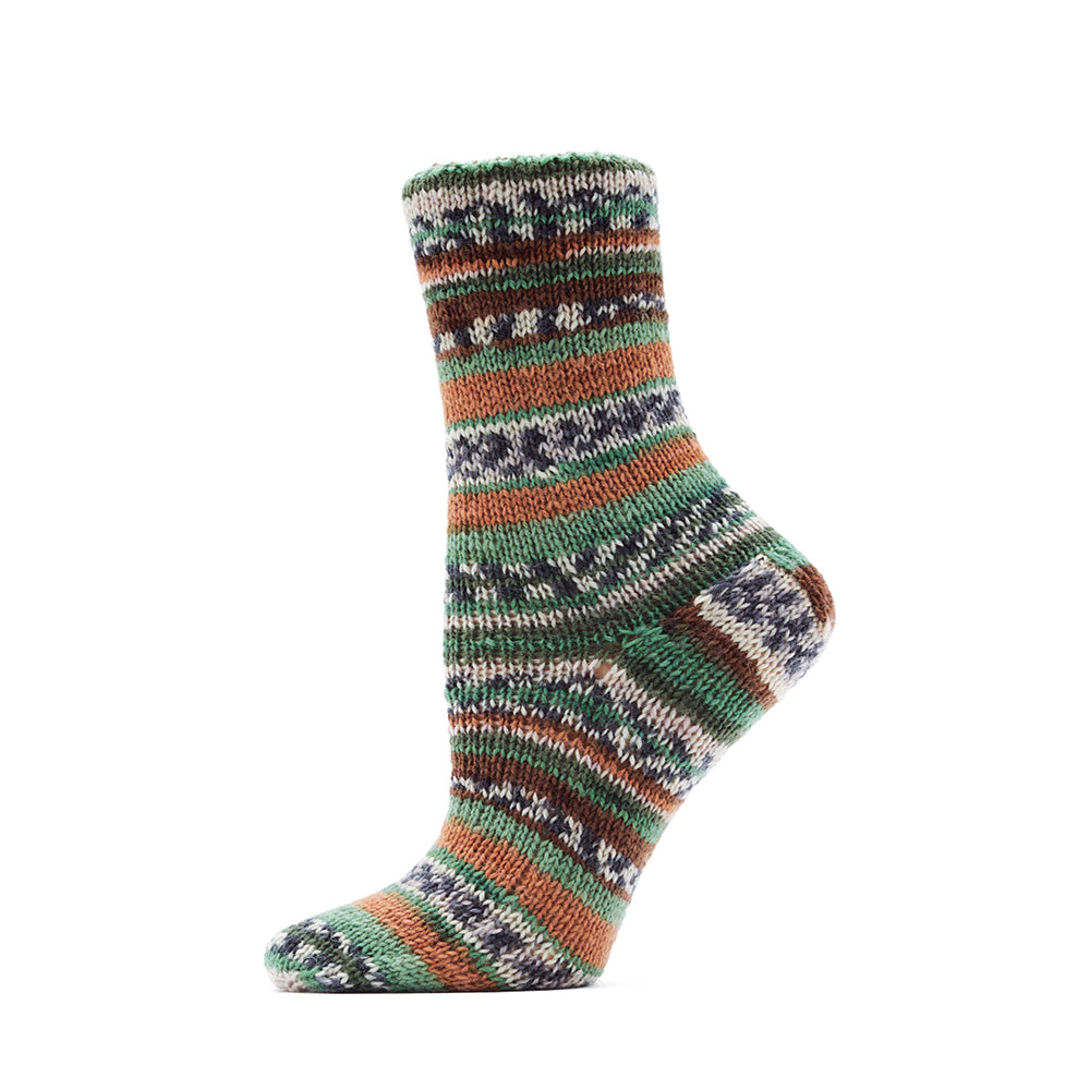 Premier Steps West Coast Sock Yarn