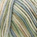 Red Heart Super Saver Yarn (Stripes, Prints, Variegated)