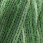 Red Heart Super Saver Yarn (Stripes, Prints, Variegated)