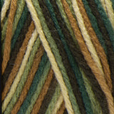 Red Heart Super Saver Yarn (Stripes, Prints, Variegated)