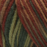 Red Heart Super Saver Yarn (Stripes, Prints, Variegated)
